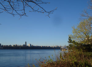Meet Japanese Women at Speed Dating in New York