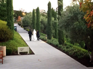 Meet Japanese Women Marriage | 海外結婚相談所・海外駐在者の婚活サポート・TJM Meet Japanese Women Marriage