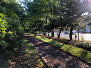 Singles Event in NYC with Japanese Women