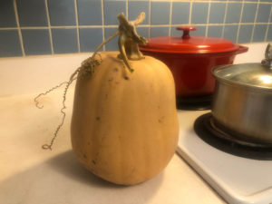 Marry a Japanese Woman | 海外結婚相談所・海外駐在者の婚活サポート・TJM Marry a Japanese Woman